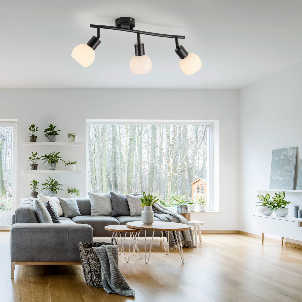 Mise en ambiance dans un salon moderne, plafonnier noir fixé au plafond au-dessus d'un canapé gris.