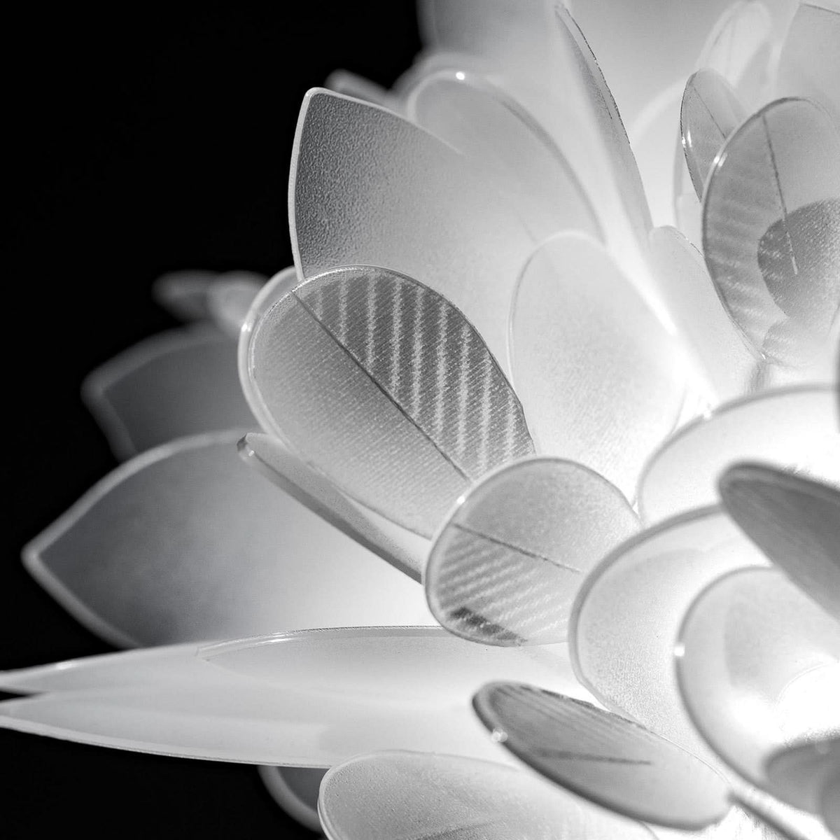 Applique murale Veli Foliage Medium, blanc, 2 lumières, Ø 54 cm