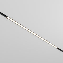 Basis Schwarzer Fleck