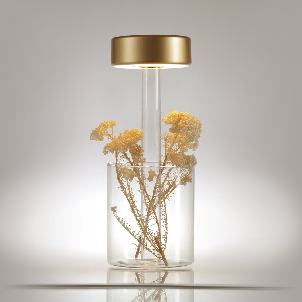 Mise en ambiance avec fleurs séchées dans le vase en verre sous l'abat-jour