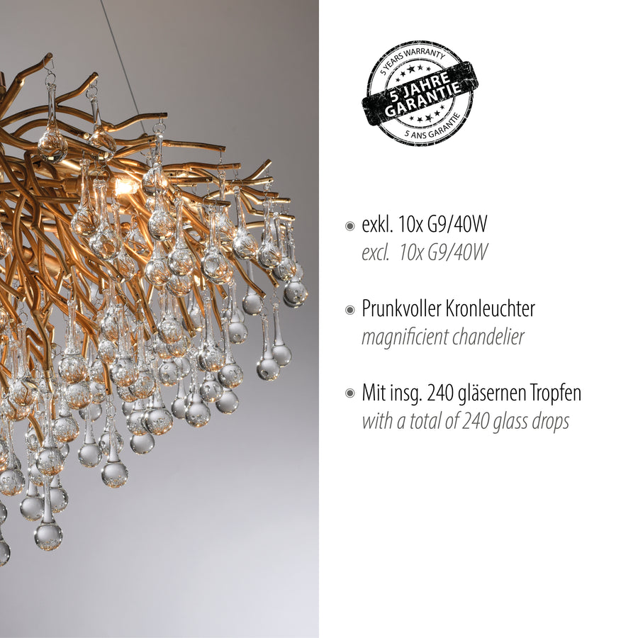Détail finition avec tampon garantie cinq ans, sur fond de branches dorées et gouttes en verre.