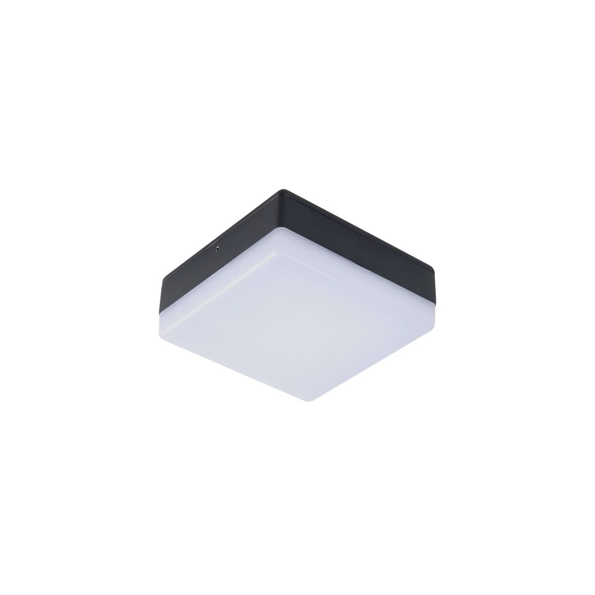 Plafonnier d'extérieur LED Thilo en aluminium, anthracite et blanc, hauteur 6,2 cm, IP54