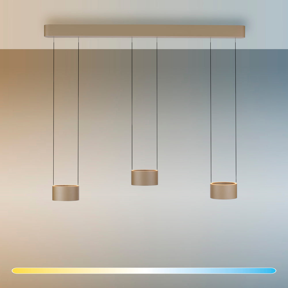 Designix Showroom in Lyon