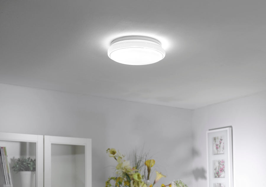 Plafonnier installé au plafond, éclairant un séjour avec fleurs jaunes.