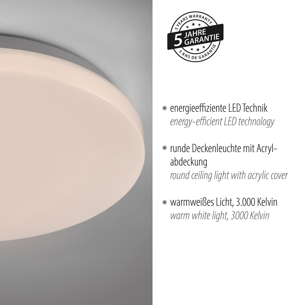 Gros plan du luminaire avec mention de la garantie cinq ans