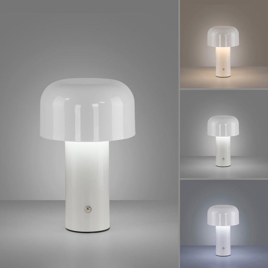 Planche comparative montrant la lampe éclairée selon différentes intensités et températures de couleur.