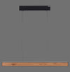 Suspension luminaire | E-Motion