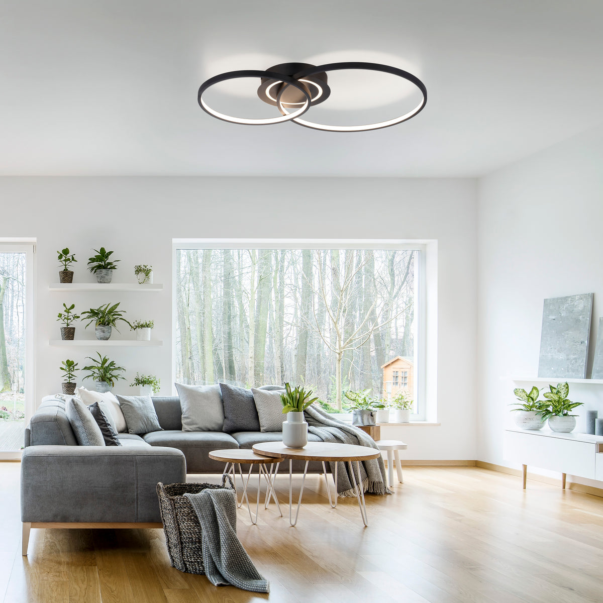 Plafonnier moderne suspendu au plafond d'un salon lumineux avec canapé et plantes.