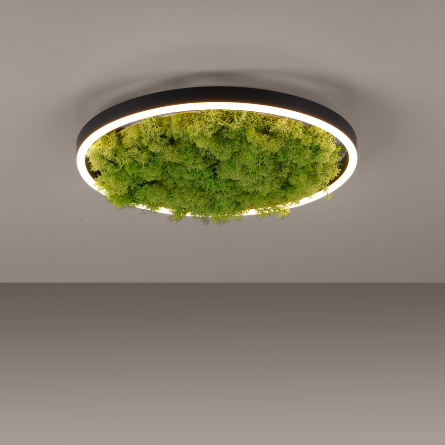 Plafonnier Green Ritus, L 39,3 cm