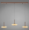 Suspension luminaire | Zephyrion