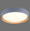 Plafonnier LED | Emilia Gris