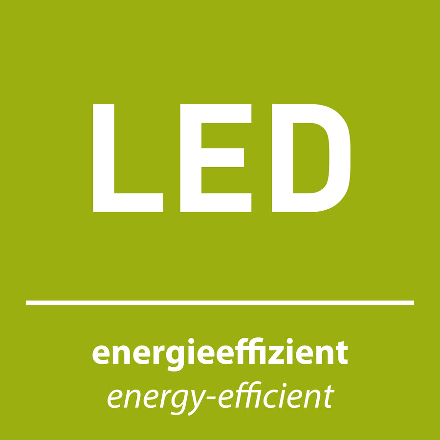 Visuel graphique sur fond vert avec le sigle LED et la mention économe en énergie.