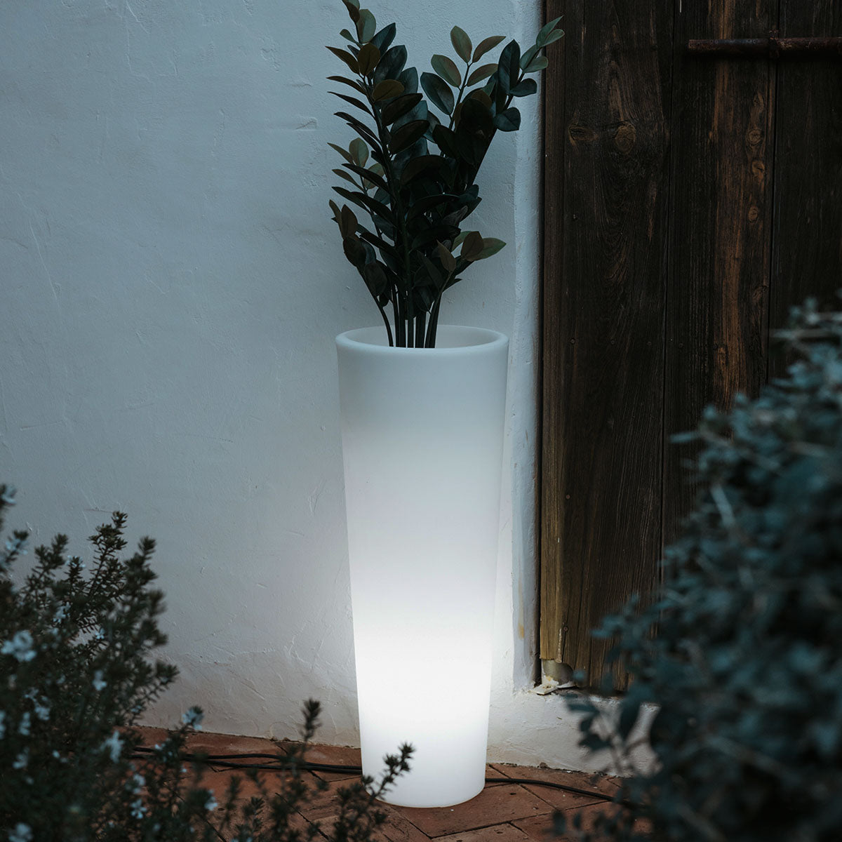 Jardinière lumineuse cylindrique Ficus