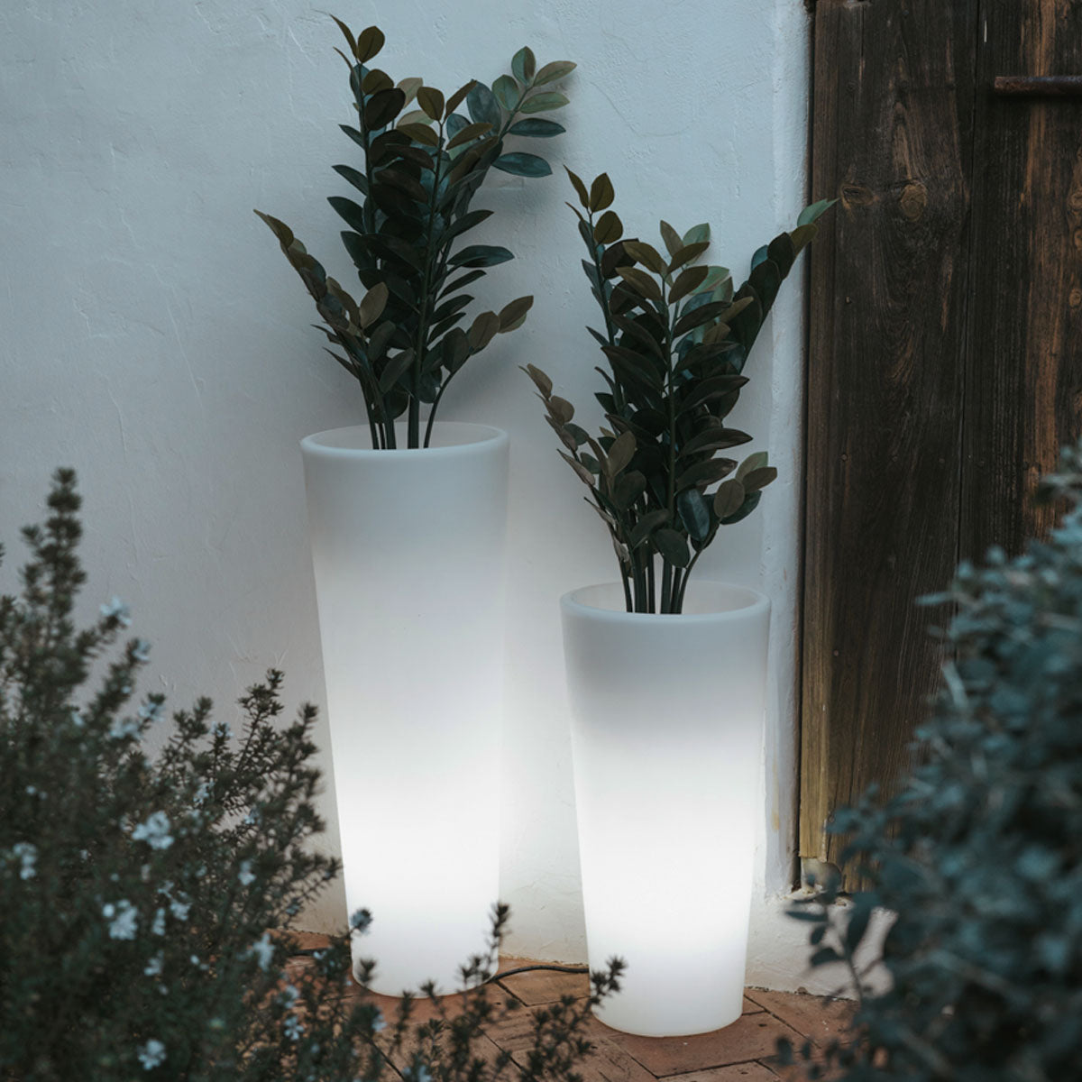 Jardinière lumineuse cylindrique Ficus