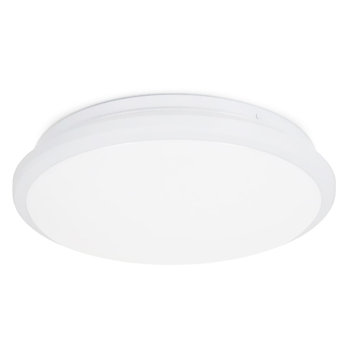 Vue légèrement inclinée montrant le contour blanc et le diffuseur bombé.