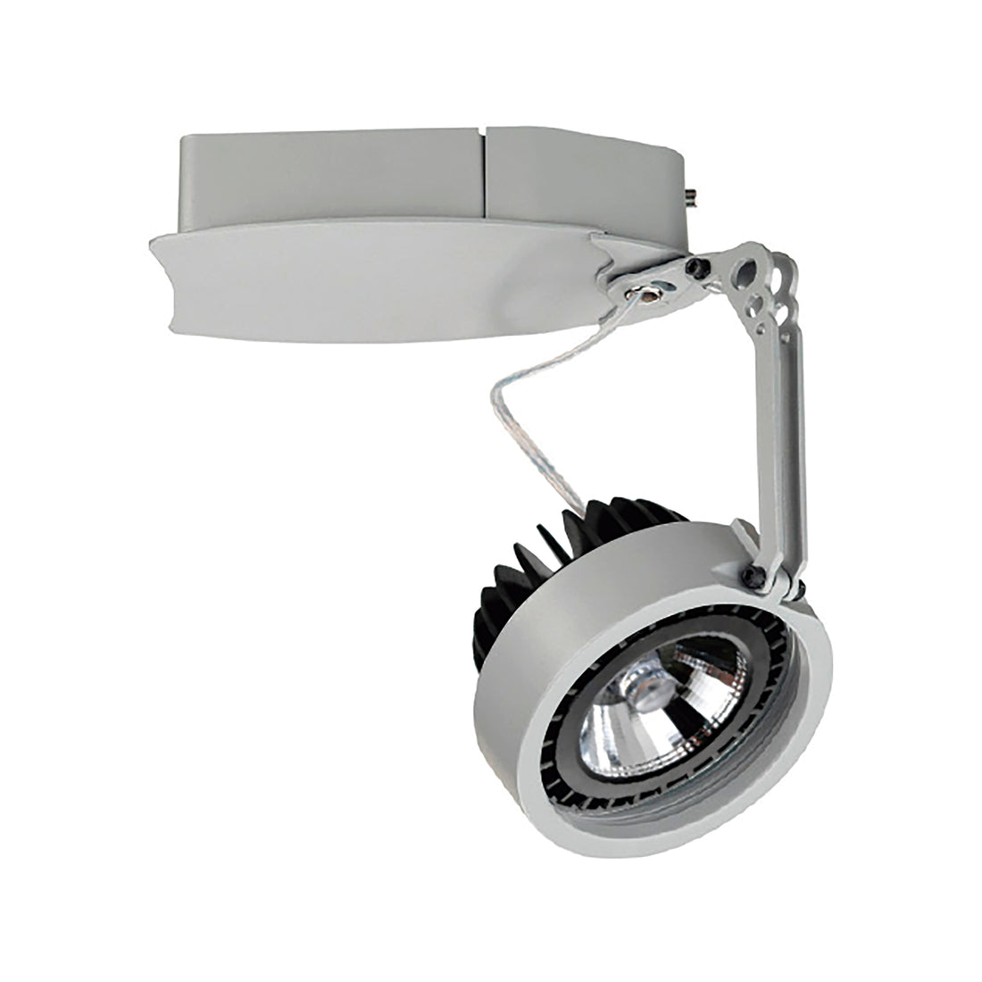 Spot en saillie orientable Haiti, LED intégrée, variable DALI