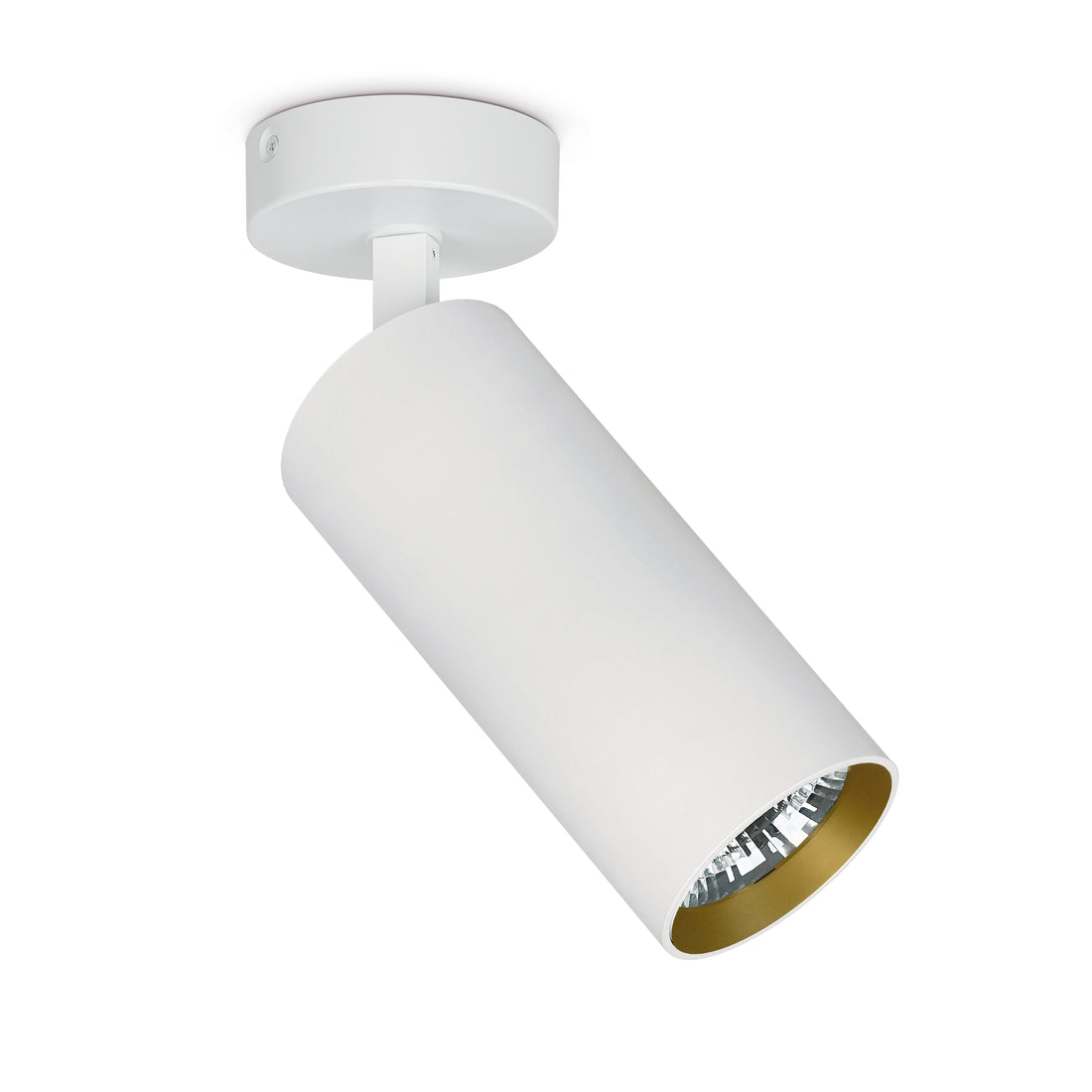 Spot en saillie orientable Hidra, LED intégrée, variable