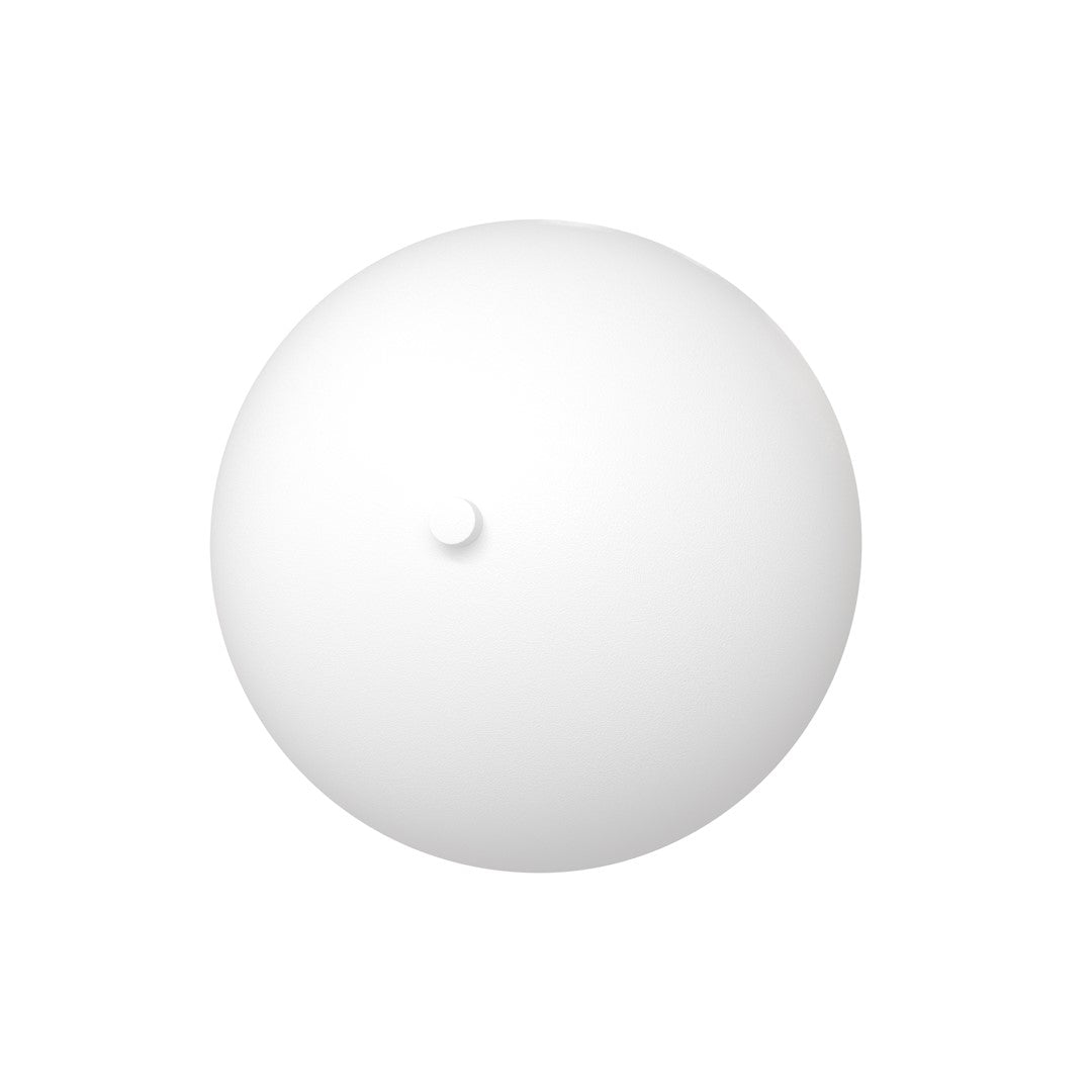 Vue de trois quarts du dôme blanc sur fond neutre, détail de la surface.