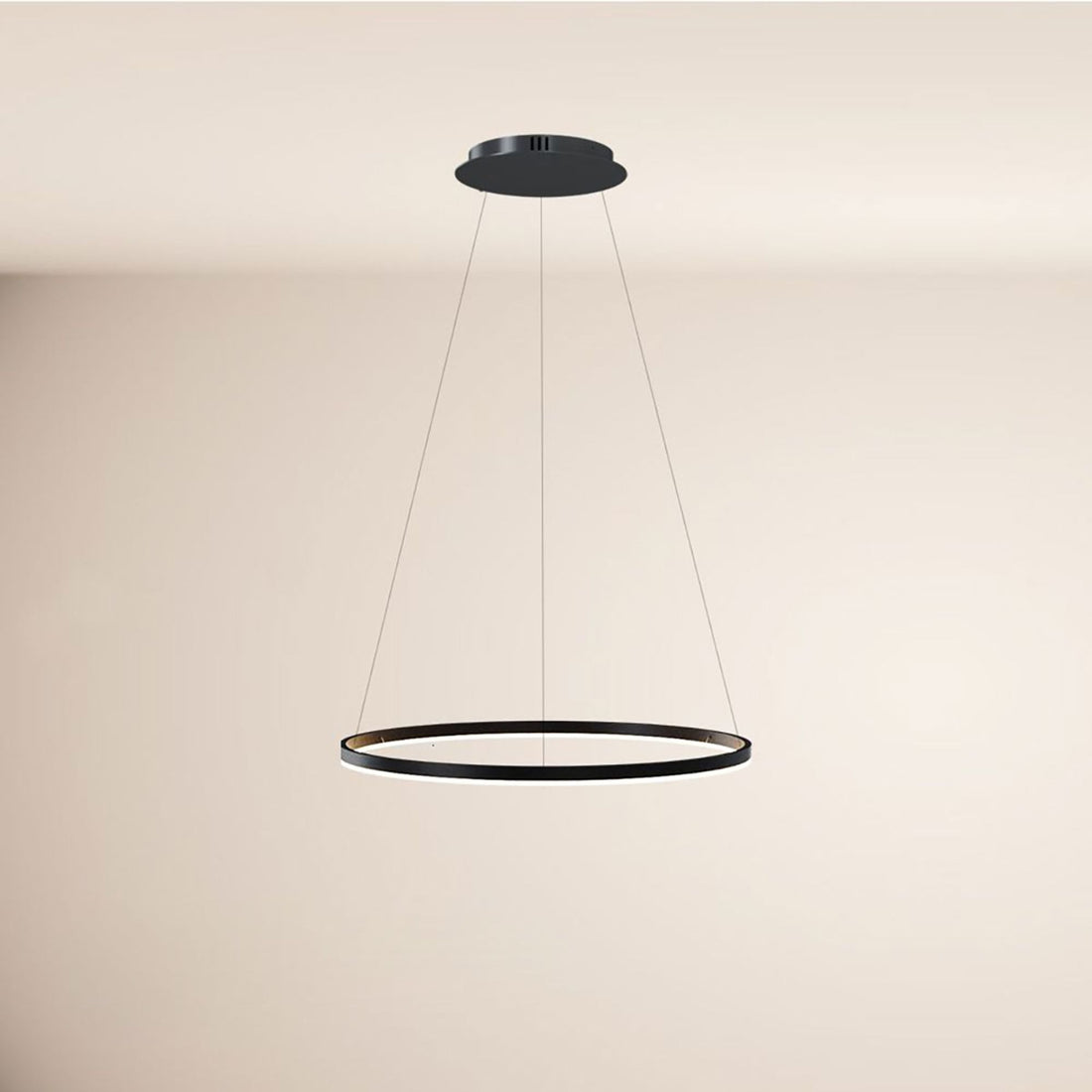 Suspension luminaire | Ring Ø 80 cm