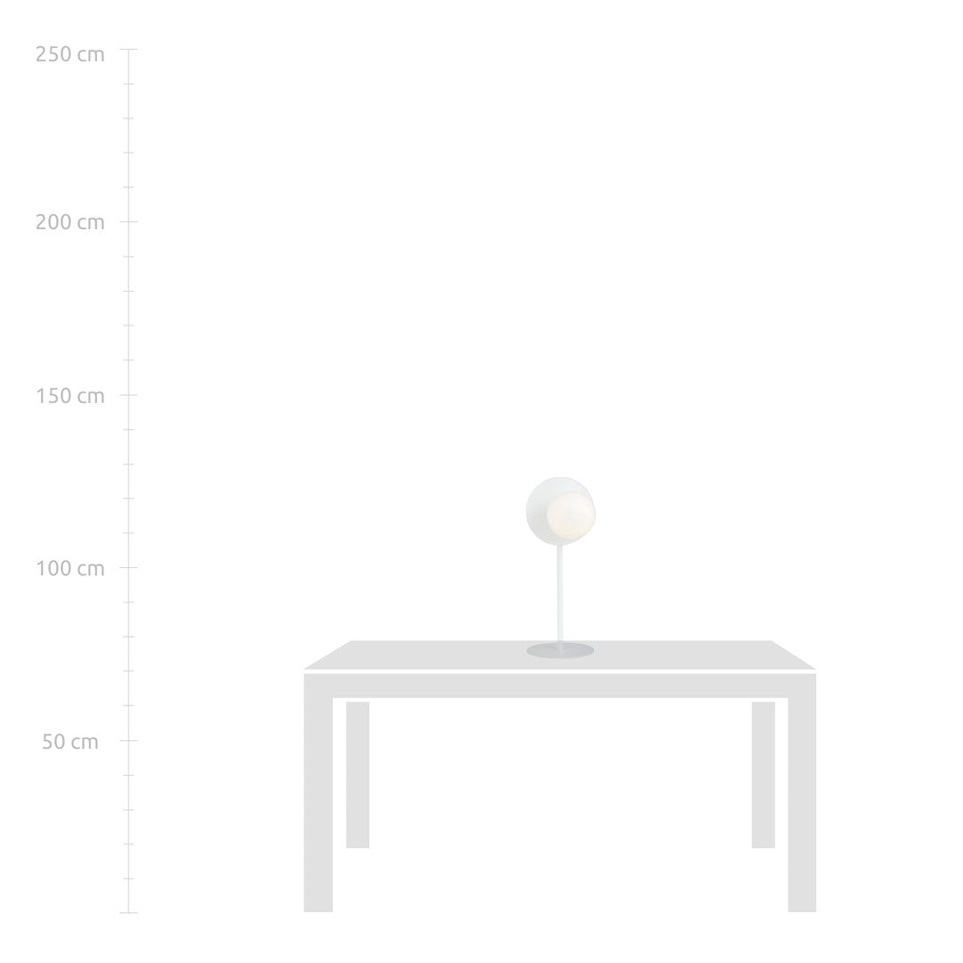 Mise à l'échelle sur une table, avec repères de hauteur gradués jusqu'à 250 cm.