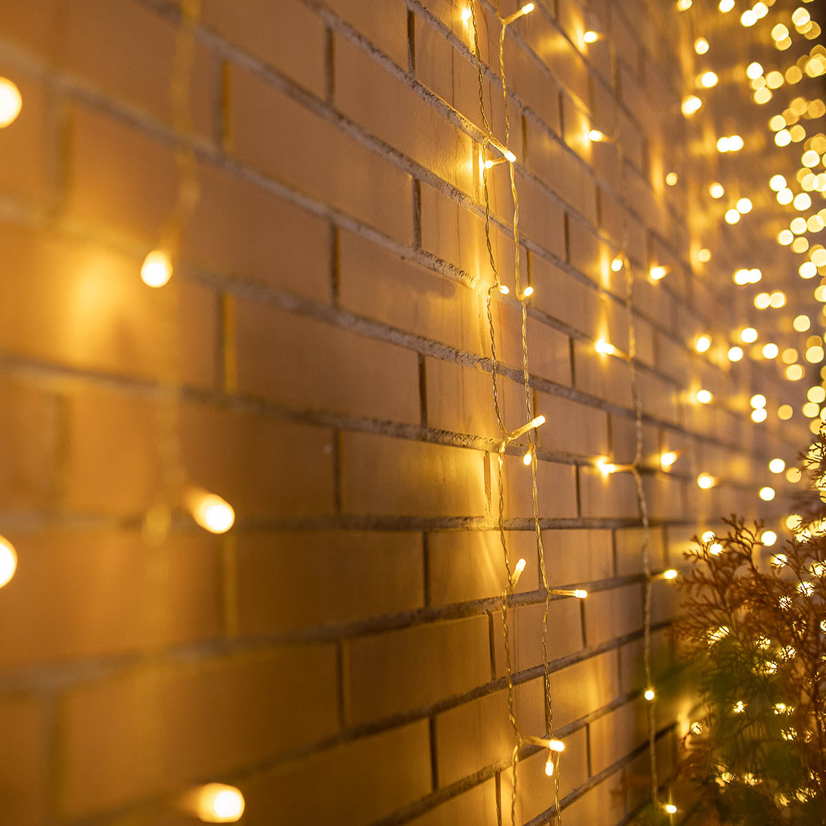 Gros plan du rideau lumineux allumé devant un mur de briques
