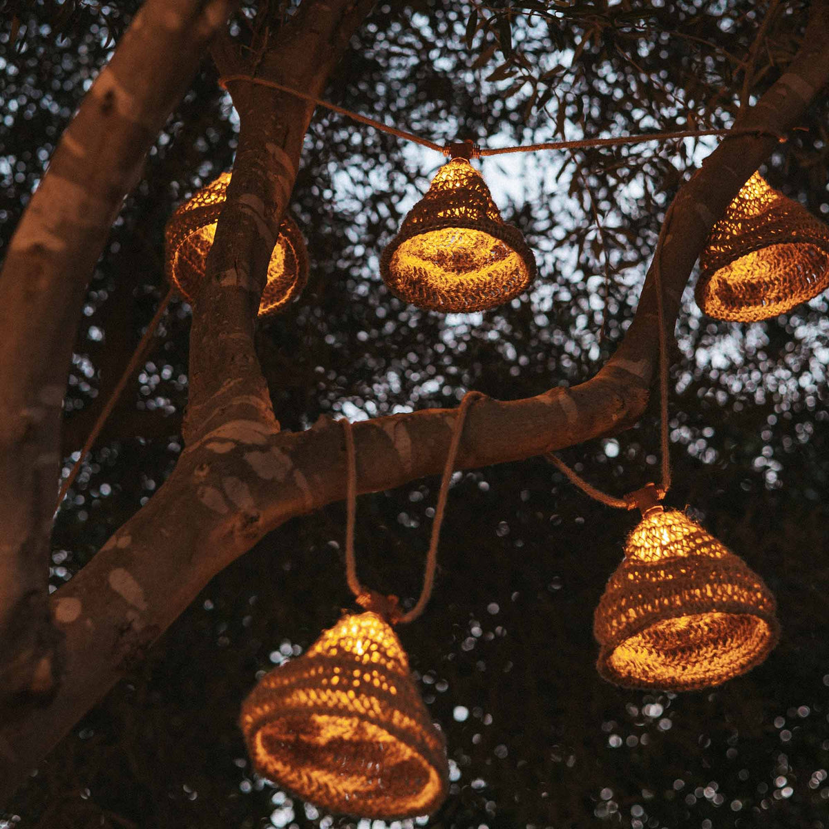 Guirlande tendue entre les branches d'un arbre, plusieurs abat-jours allumés vus de dessous