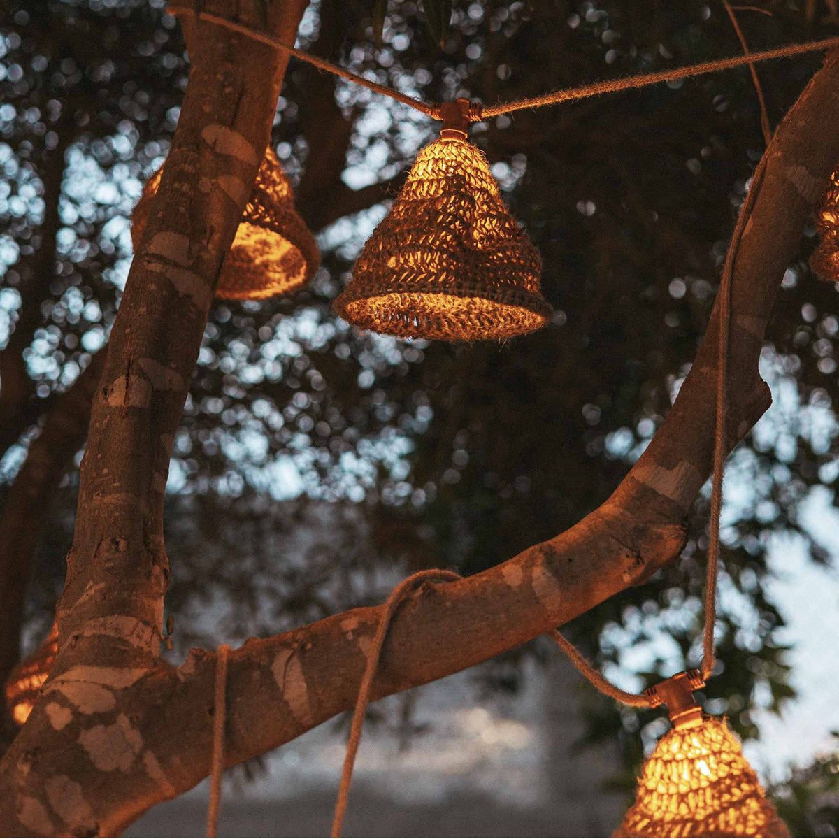 Détail d'une suspension en jute sur sa branche, cordon de fixation et ampoule visibles