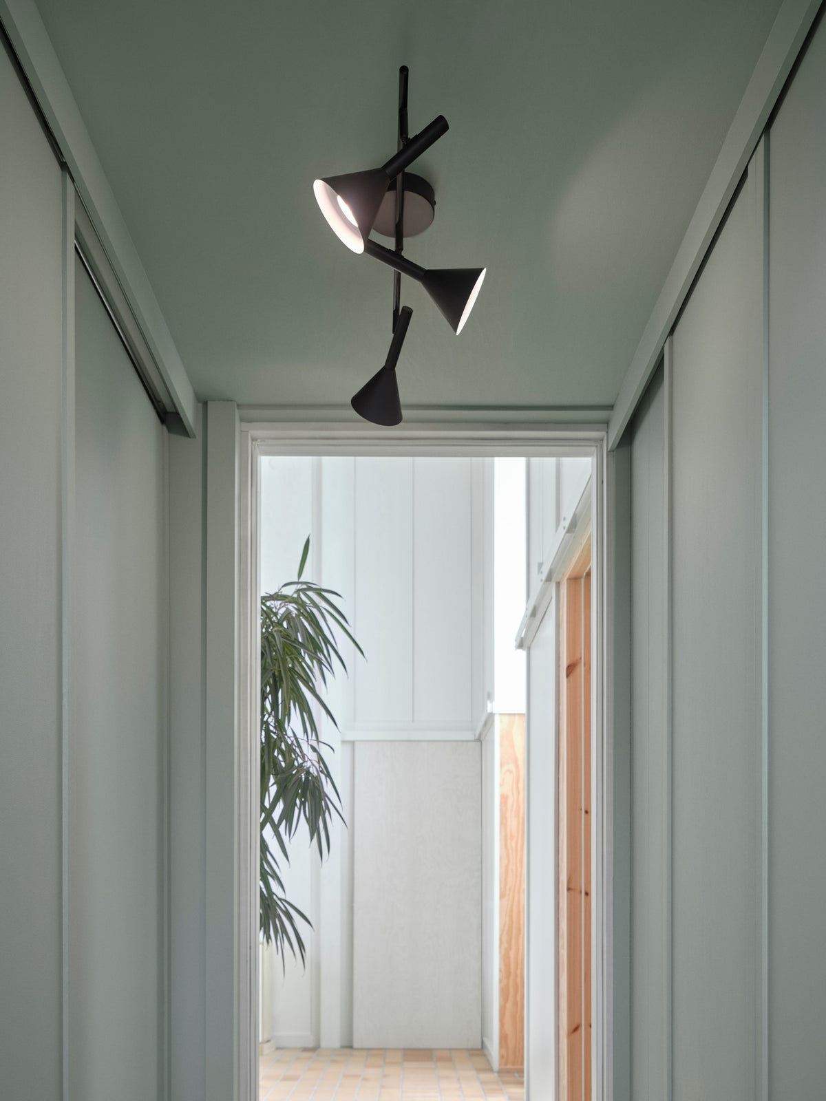 Mise en ambiance dans un couloir, plafonnier fixé au plafond avec trois spots orientés