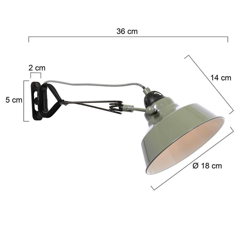 Schéma technique coté : largeur 36 cm, hauteur 5 cm, profondeur 14 cm, diamètre 18 cm.
