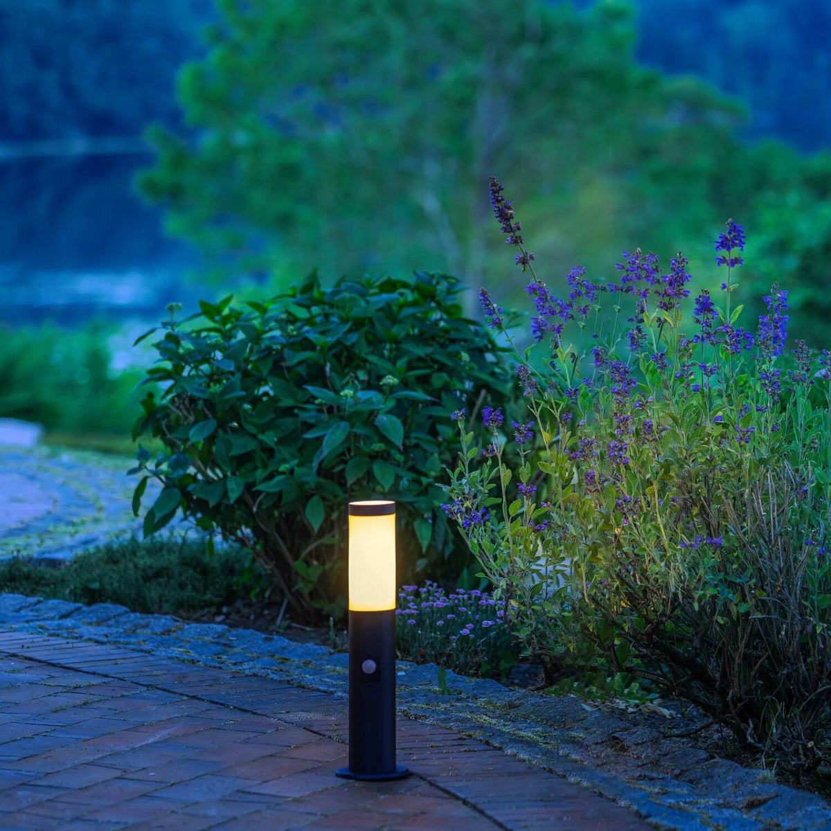 Mise en ambiance nocturne d'une borne allumée dans un jardin près de plantes.