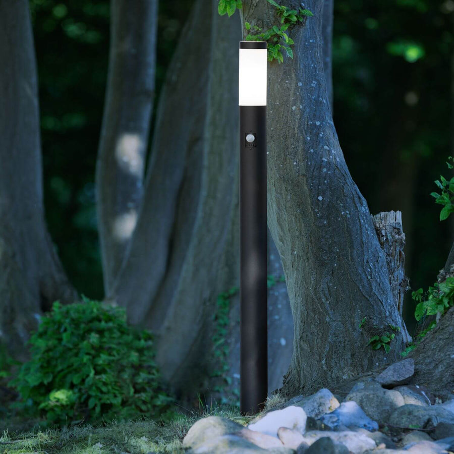 Mise en ambiance en forêt, borne éclairée près d'un tronc et de rochers.