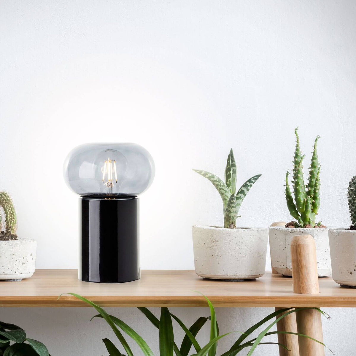 Mise en ambiance: lampe posée sur étagère en bois parmi cactus et plantes.