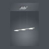 Suspension luminaire | Pole