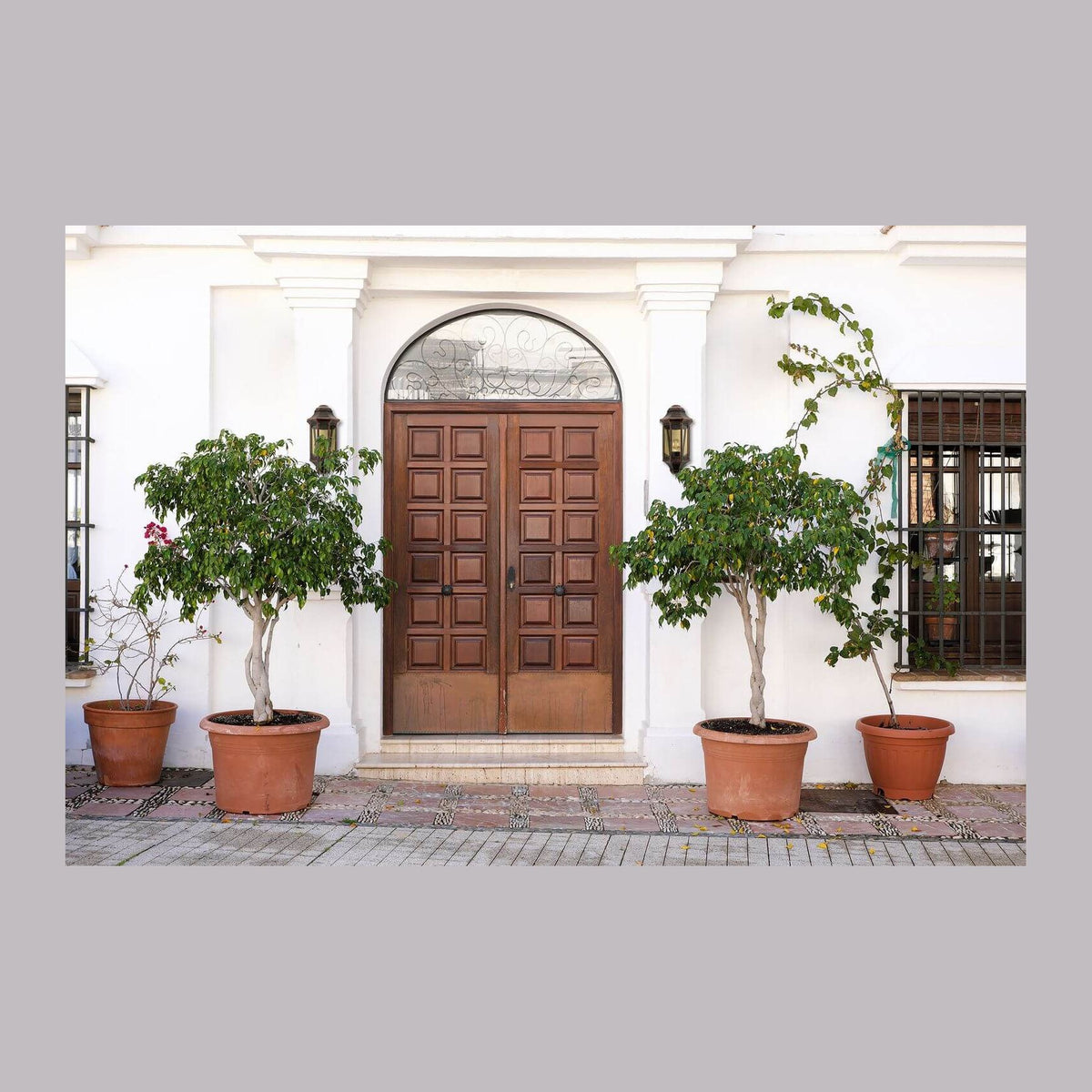 Façade blanche avec deux appliques murales encadrant une porte en bois, pots de fleurs.