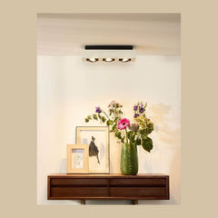 Luminaire plafonnier | Tesdoraro