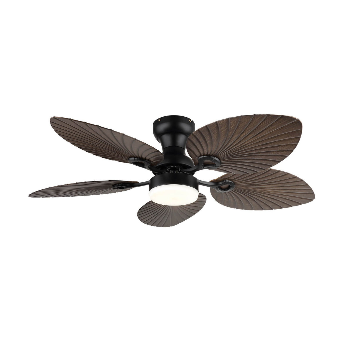 Ventilateur de plafond lumineux Elise noir mat