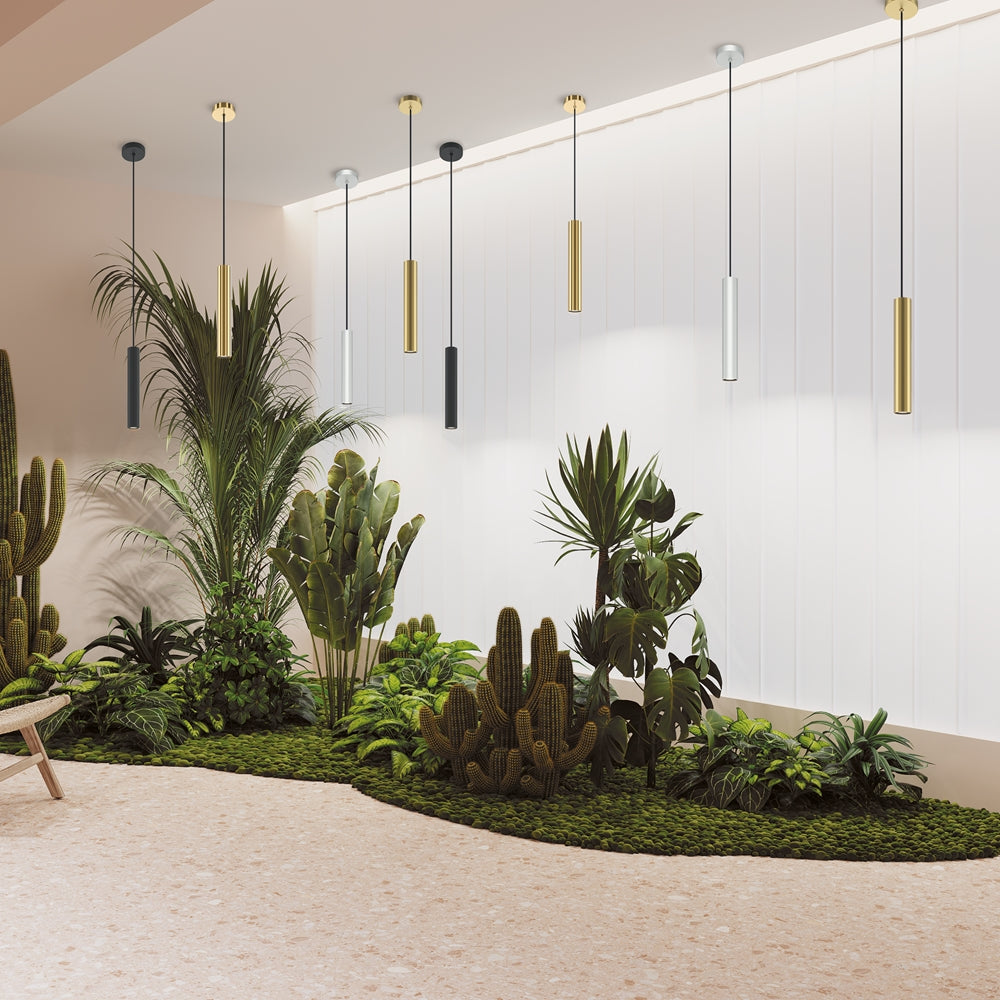 Mise en ambiance, plusieurs suspensions cylindriques colorées au-dessus d'un jardin intérieur