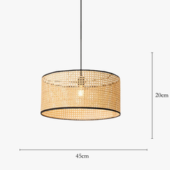 Suspension luminaire | Briseis