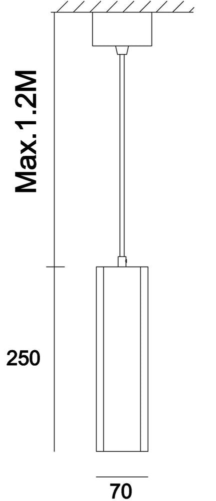 Schéma technique avec cotes : hauteur 250 mm, largeur 70 mm, câble max 1,2 m.