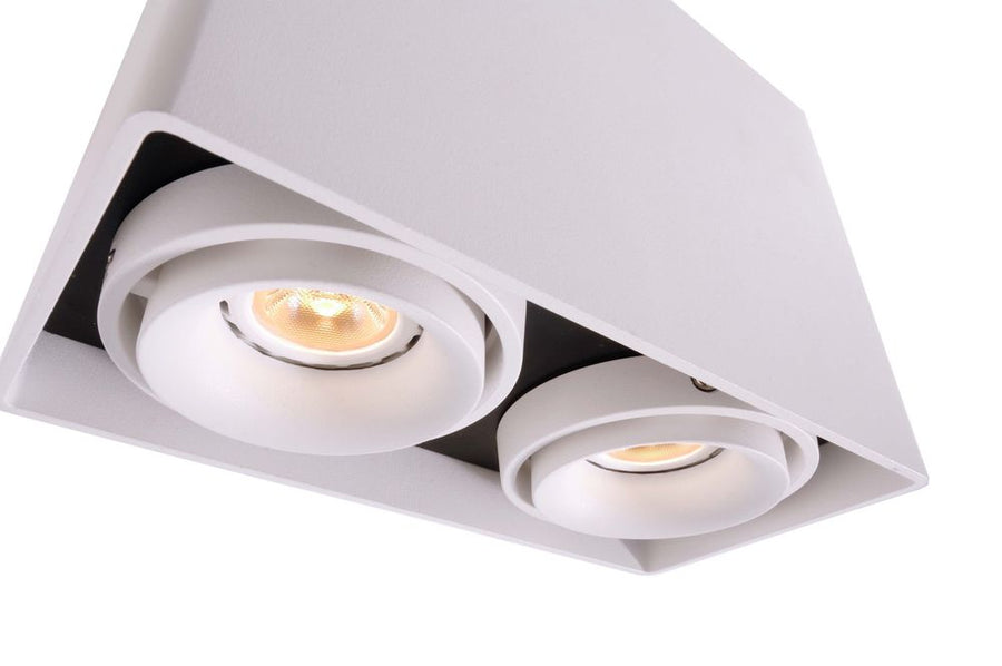 Détail rapproché des deux spots orientables allumés dans leur boîtier blanc.