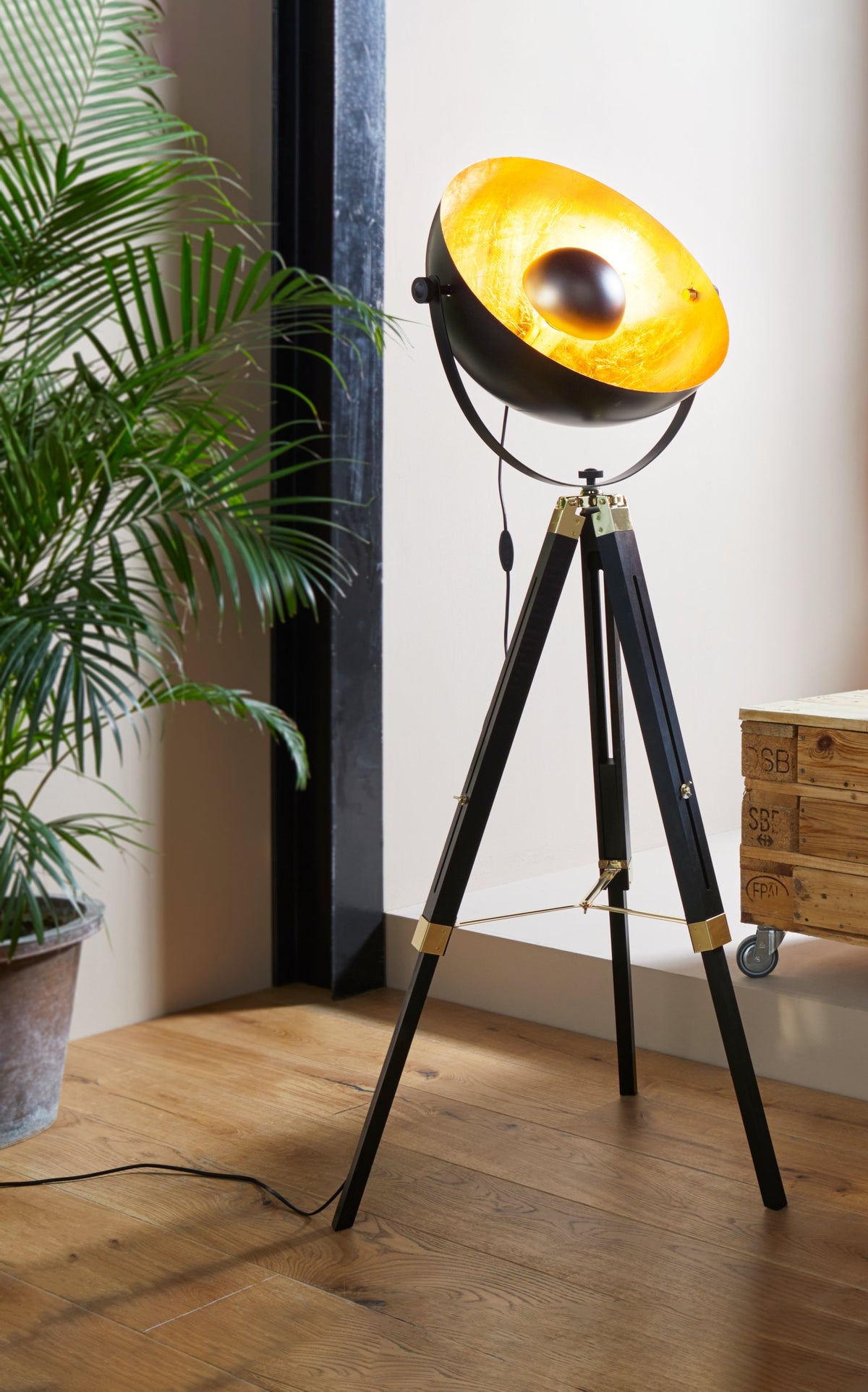 Lampadaire trépied noir posé près d'une plante verte dans un intérieur clair