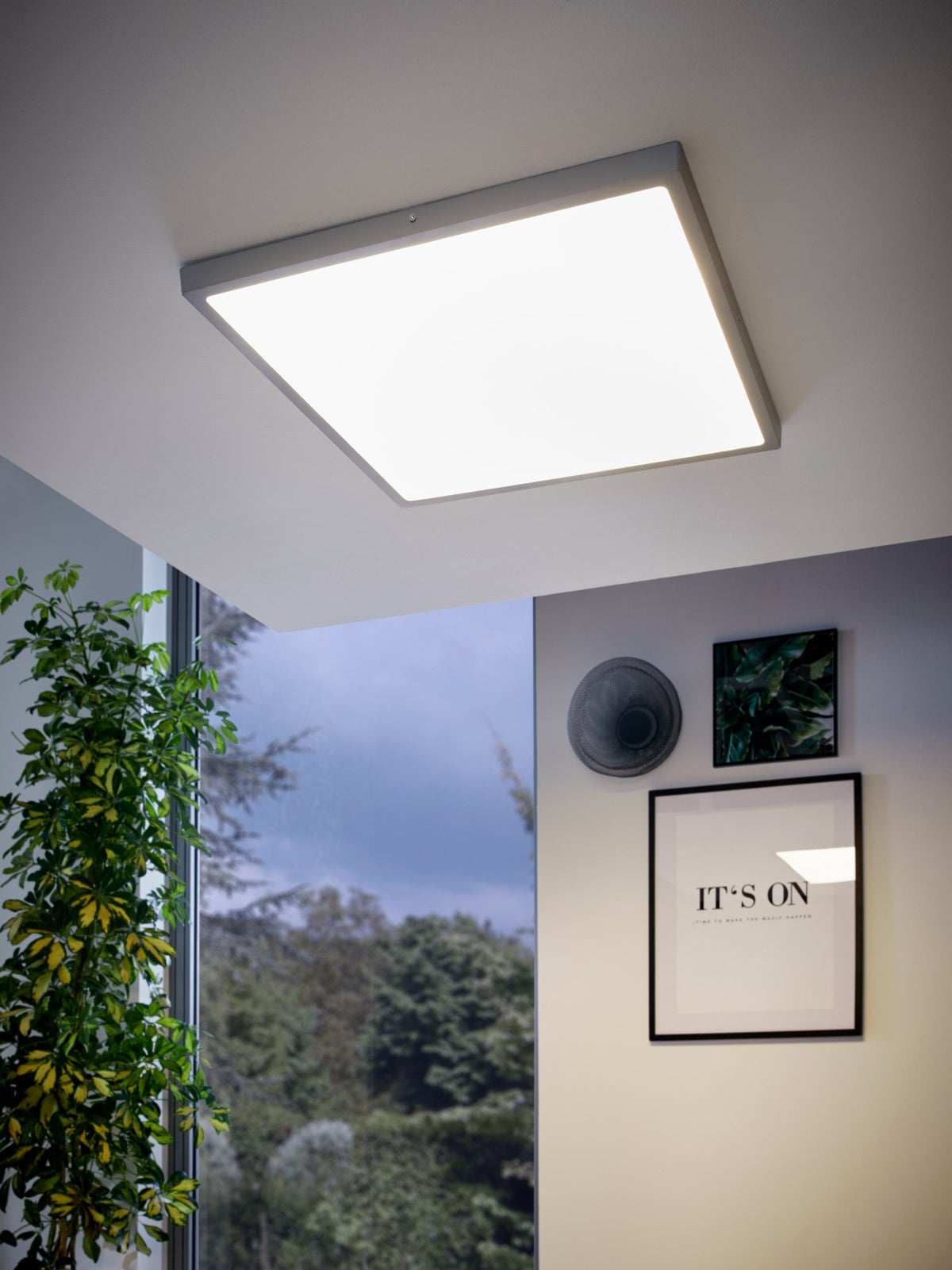 Mise en ambiance au plafond d'un salon, lumière allumée, plantes et cadres