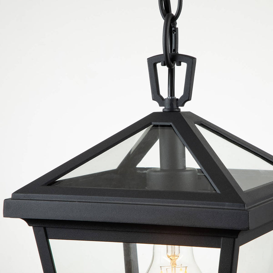 Suspension extérieure Alford Place noire et transparente, verre