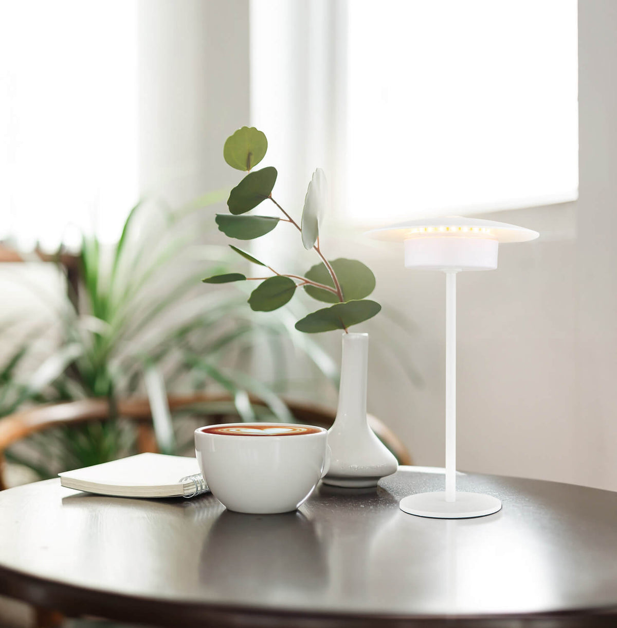 Mise en ambiance sur table basse avec tasse, vase et plante verte.