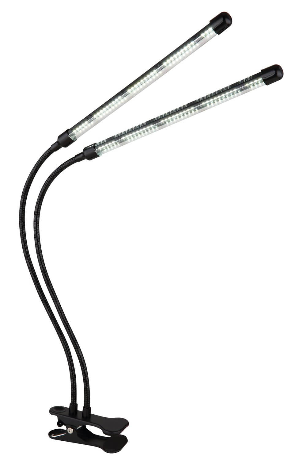 Spot LED | Treena