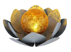Luminaire extérieur | Fleura
