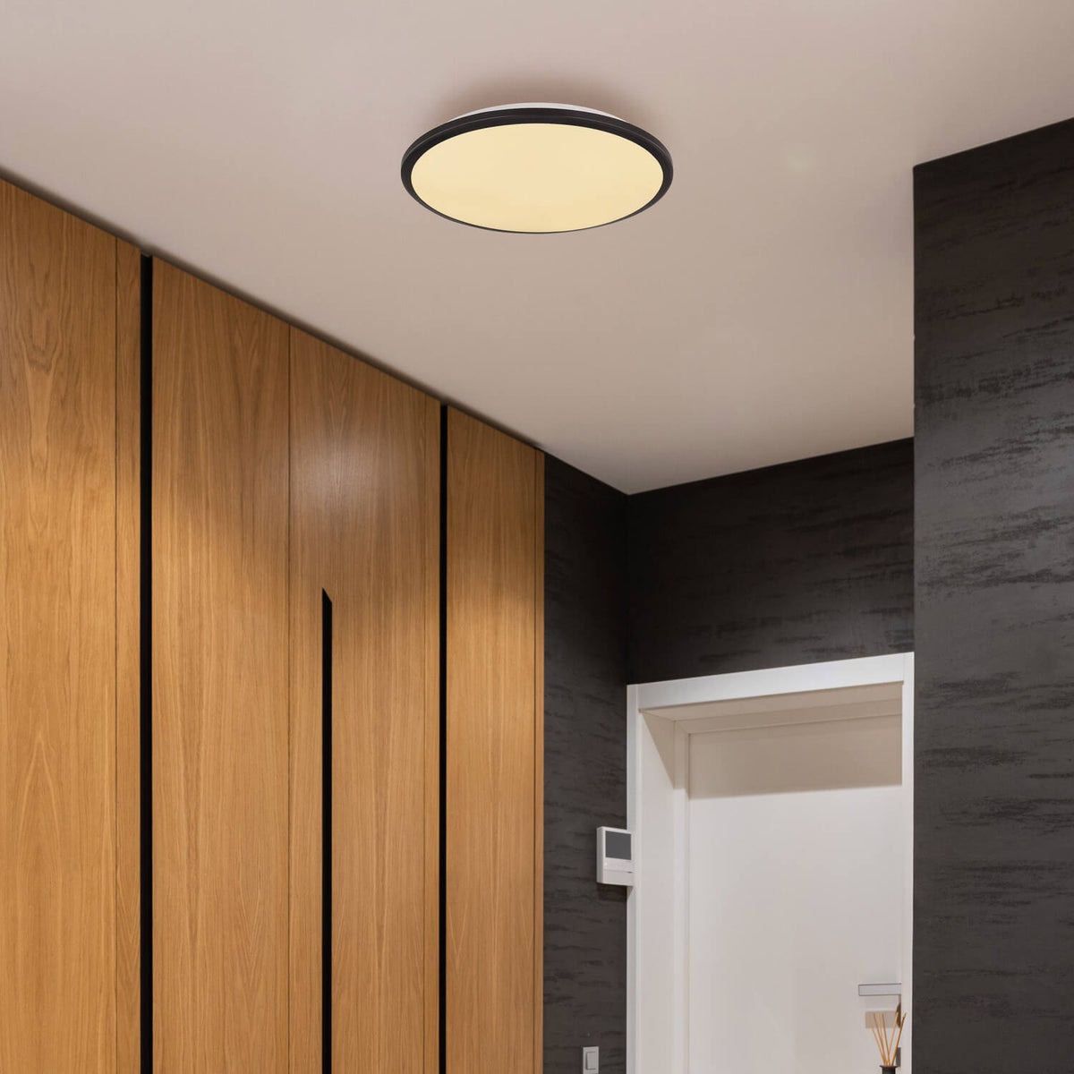 Plafonnier installé au plafond dans une entrée bois clair et panneau noir