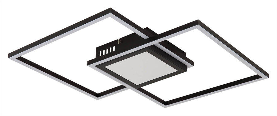 Détail du module central carré avec diffuseur blanc et armature noire