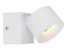 Spot LED | Rae Blanc