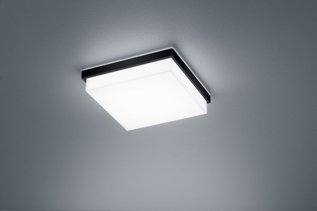 Plafonnier LED | Cosi Noir